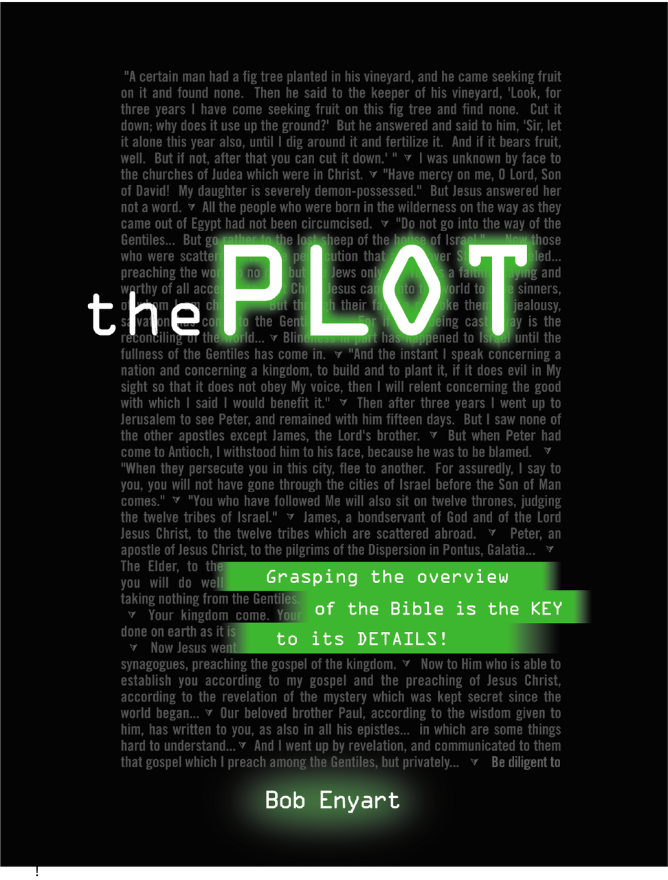 The Plot - 2nd Edition